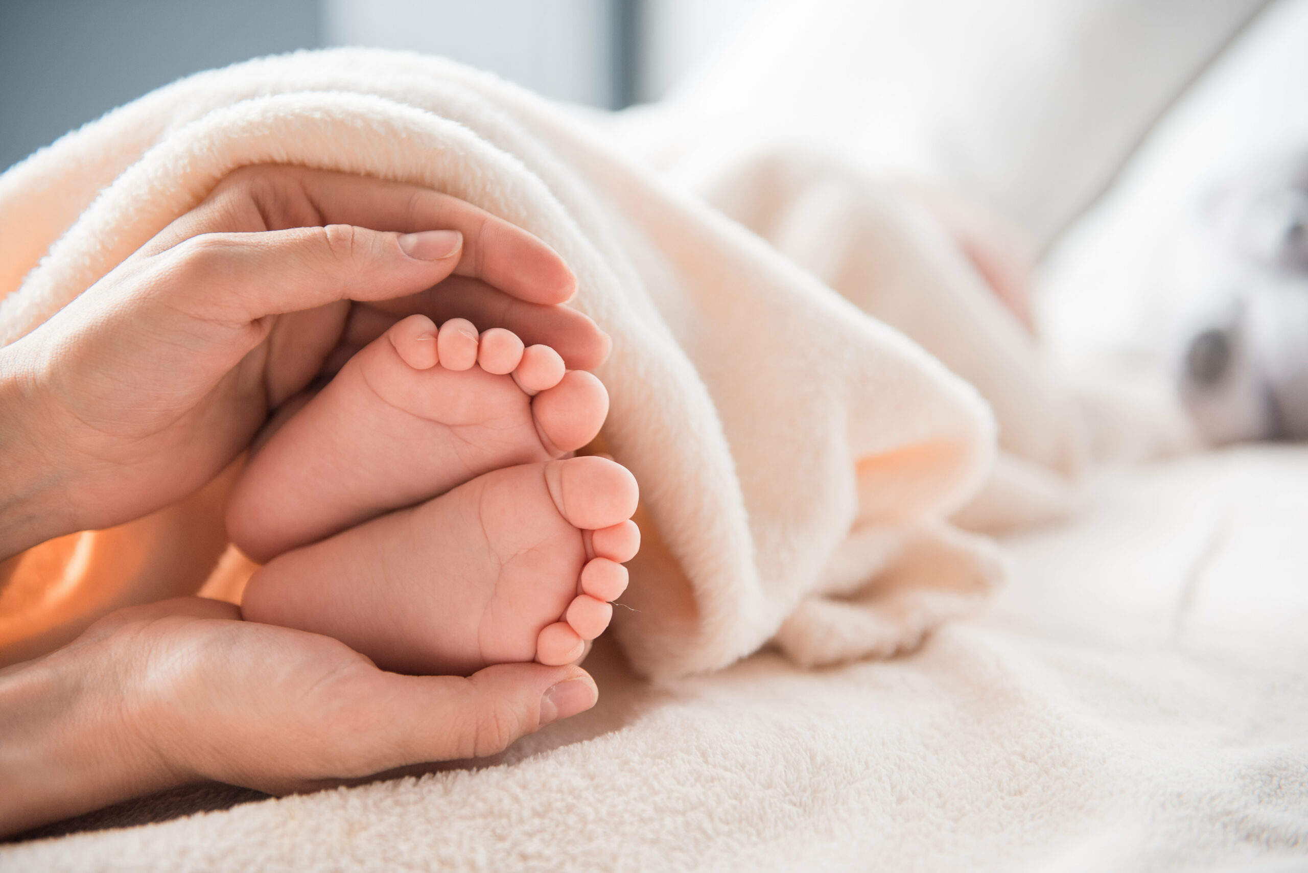 Woman arms with adorable babys legs